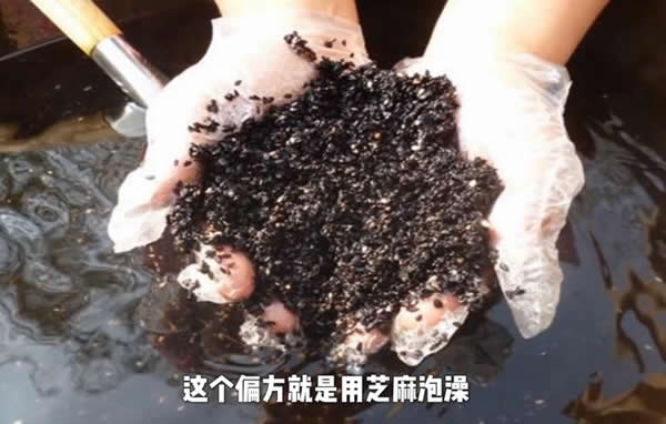 ֥��Ů�����˵�ԭ��ë��֥��Ů�����½���